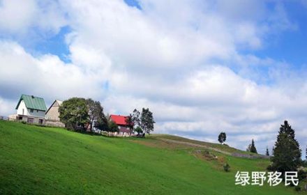 黑山移民后，在黑山出生的孩子会自动获得黑山公民资格吗？